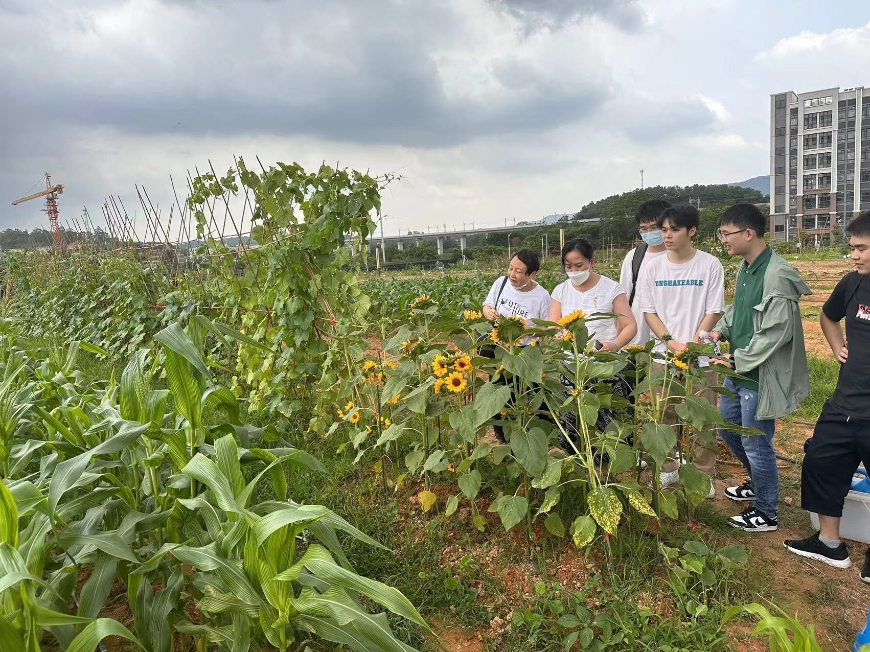 3044am永利集团官网