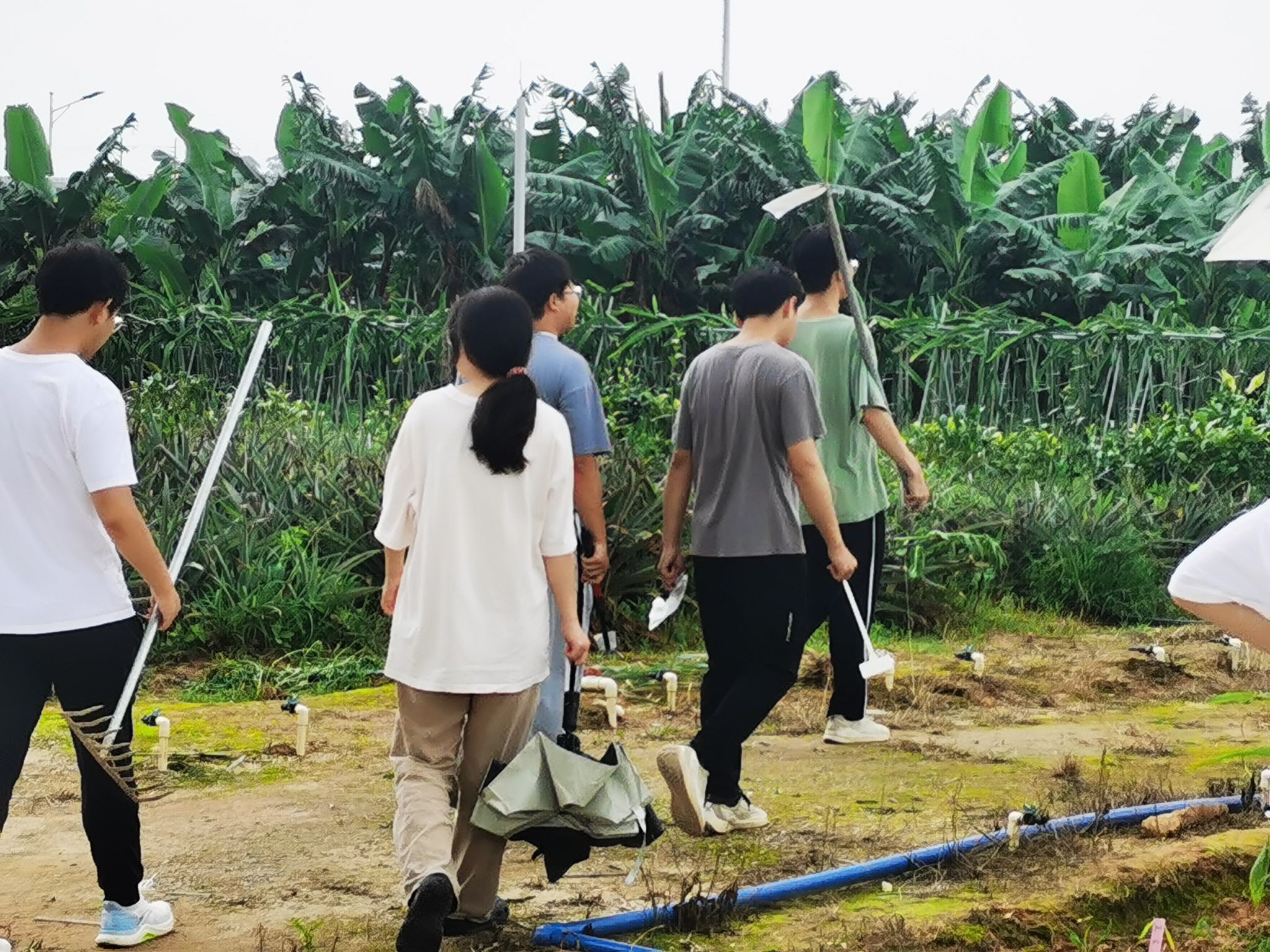 3044am永利集团官网