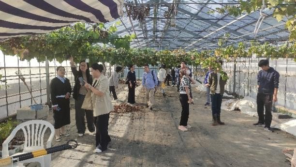 3044am永利集团官网