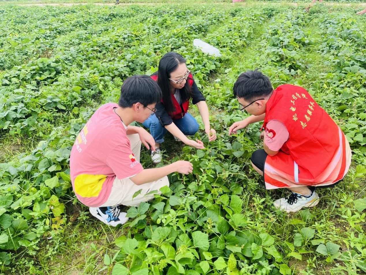 3044am永利集团官网