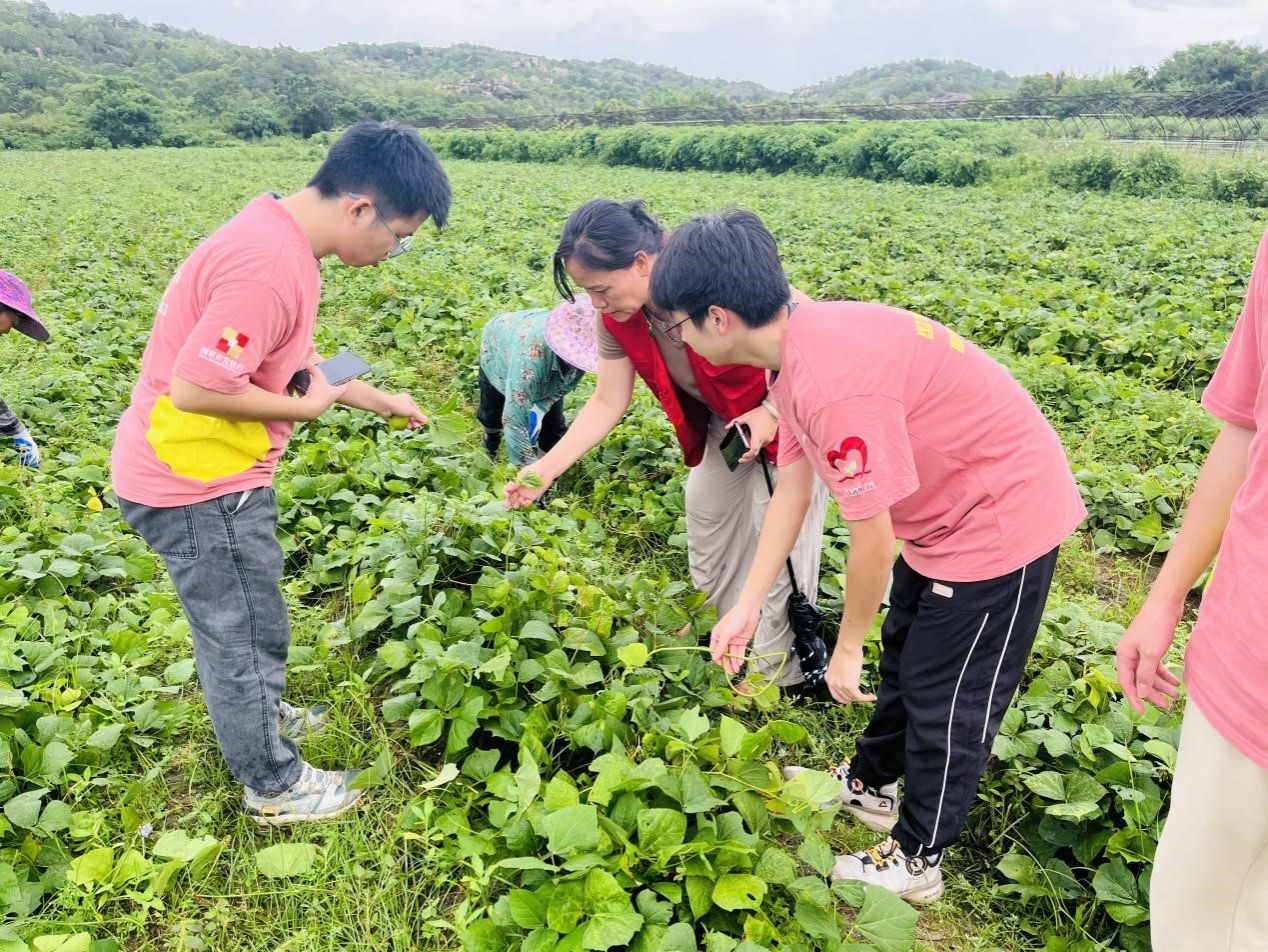 3044am永利集团官网
